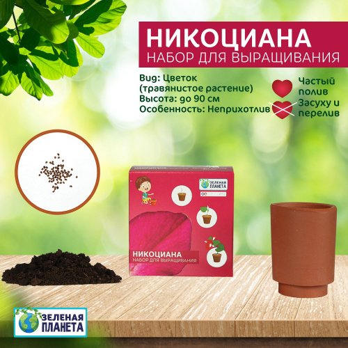 Набор для выращивания Никоциана