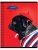 Тетрадь клетка 48л. ArtSpace Питомцы. Pug
