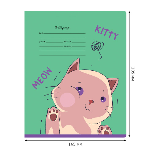 Тетрадь линия 18л. BG Mix-12. Девочки