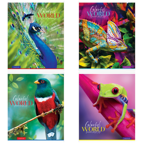 Тетрадь клетка 48л. ArtSpace Животные.Colorful world