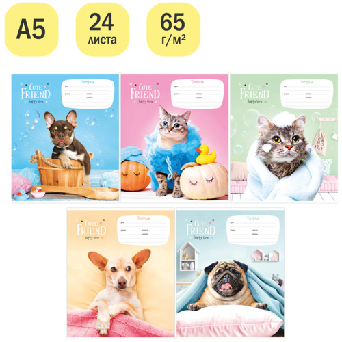 Тетрадь линия 24л. ArtSpace Питомцы. Happy time