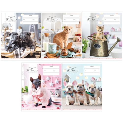 Тетрадь клетка 24л. ArtSpace Питомцы. Милые друзья