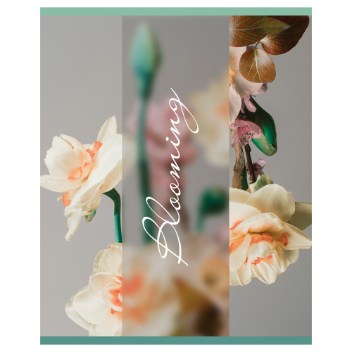 Тетрадь клетка 48л. А5 BG Blooming