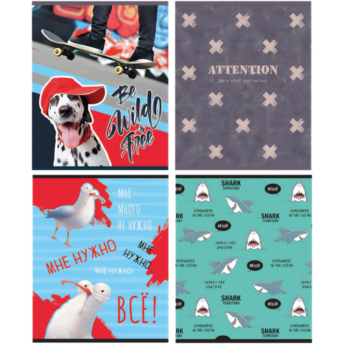 Тетрадь клетка 96л. BG Mix-12. Мальчики