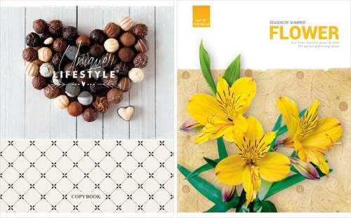 Тетрадь клетка 96л. ArtSpace Микс. Girl s collection