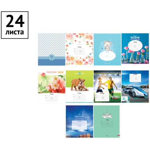 Тетрадь линия 24л. ArtSpace Микс. Ассорти