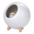 Ночник детский интерьерный Roxy-Kids Домик для котёнка, USB с аккумулятором для детской
