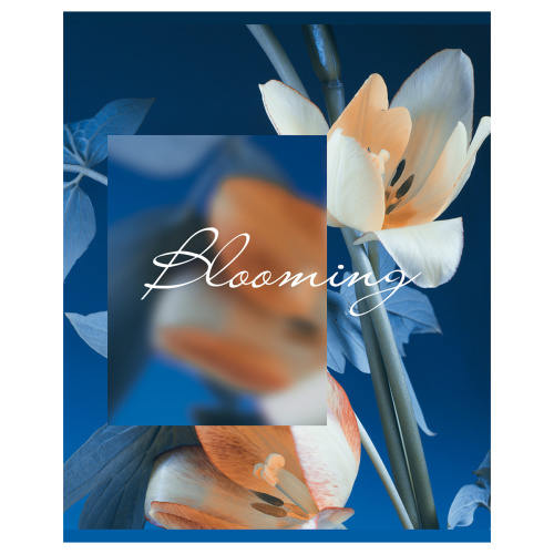 Тетрадь клетка 48л. А5 BG Blooming