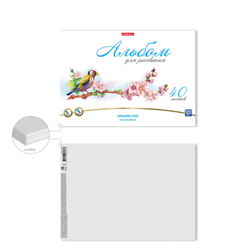 Альбом для рисования 40л. ErichKrause Birds