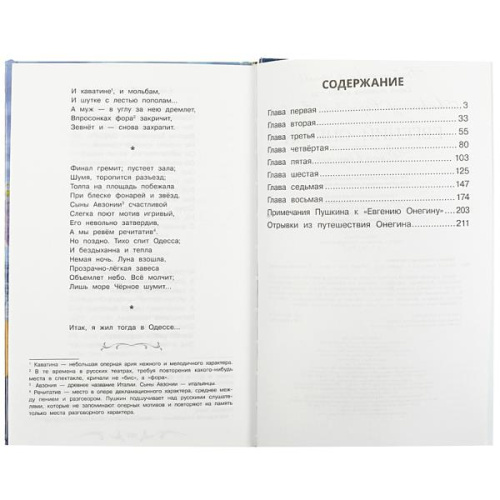Книга А. С. Пушкин. Евгений Онегин
