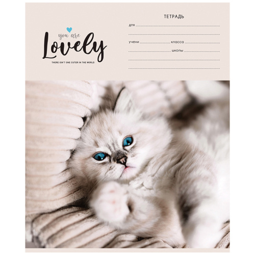 Тетрадь клетка 24л. ArtSpace Питомцы. Lovely Cat